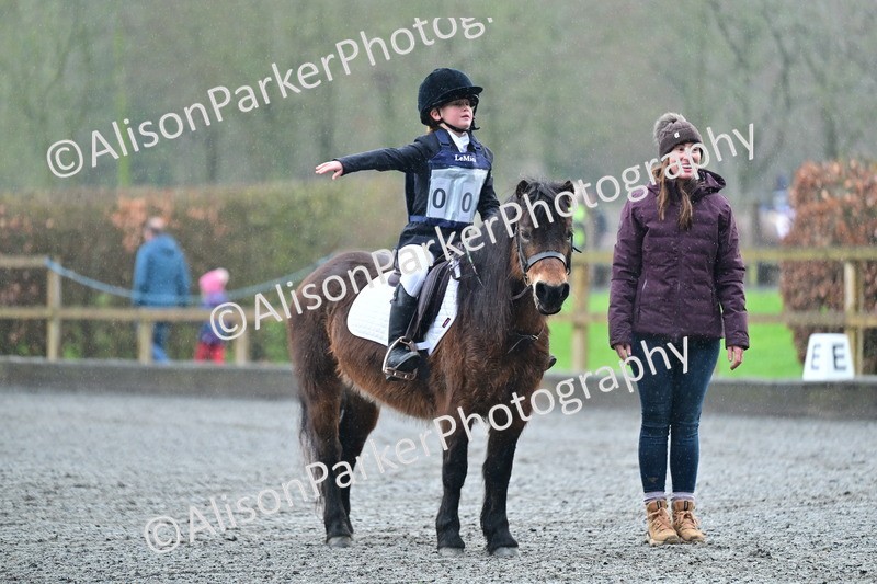 20260125-0878 - Class 9a - Walk Trot Assisted