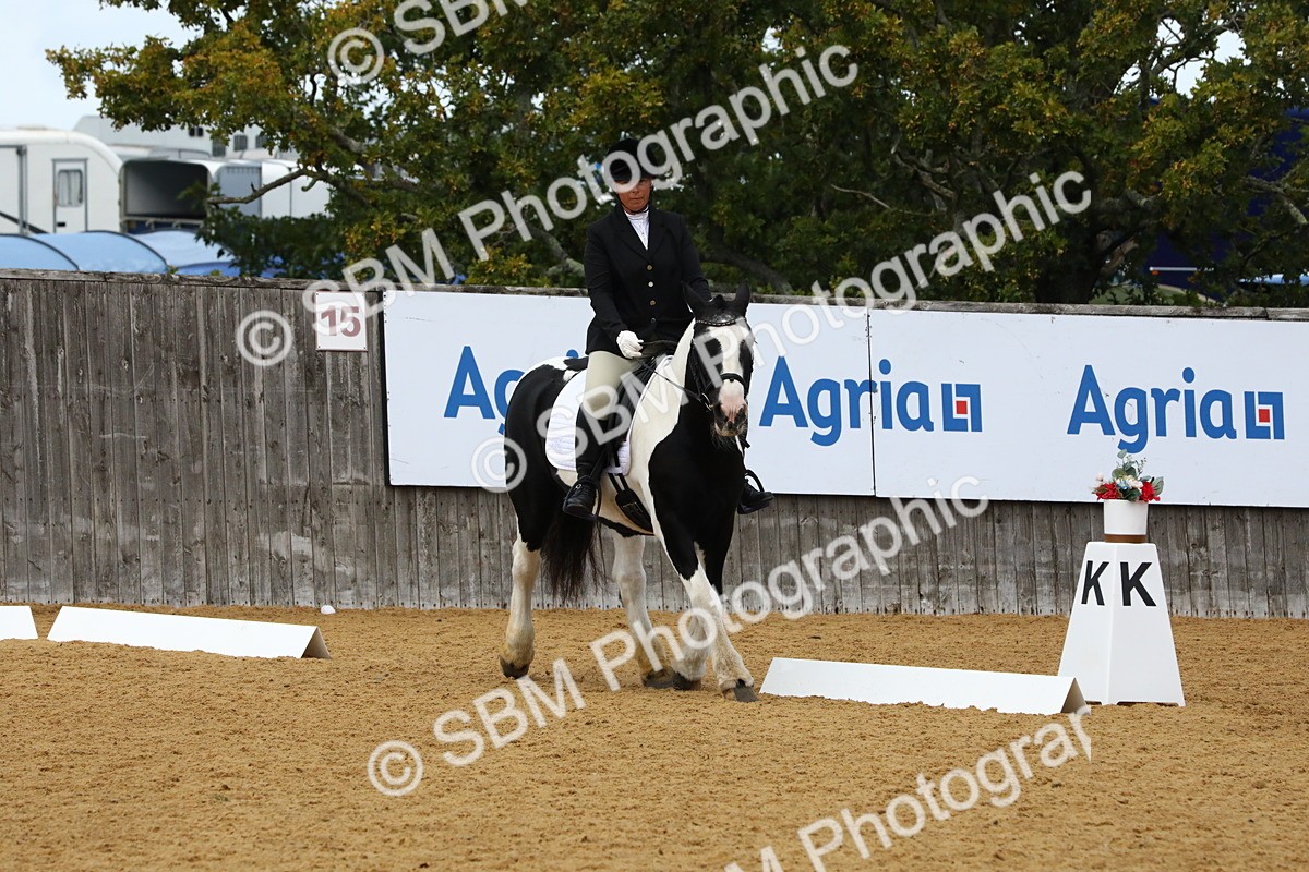 SBM_23438 - D5 - Small Tour Championshop Intro 2