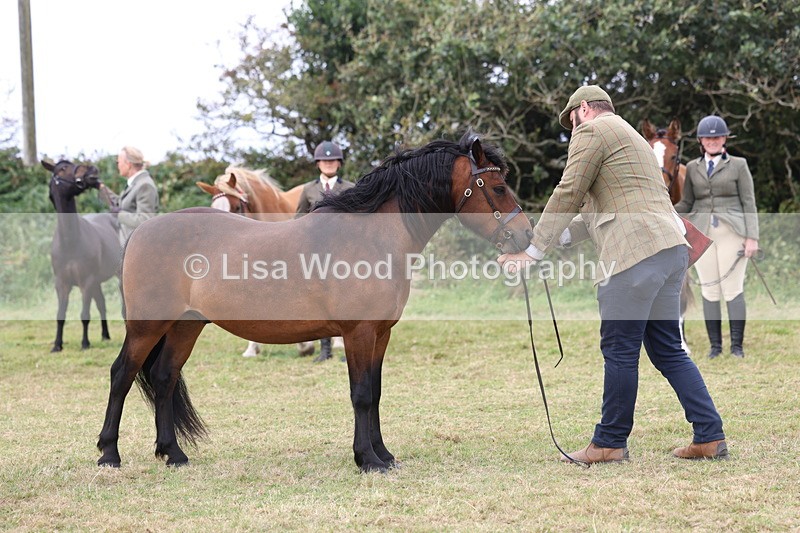 3E7A4745 - Class 16: Best Grass Kept