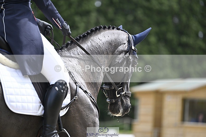 240523-130004-04628 - 101-MORELANDS_CASANOVA-Daisy_Bathe