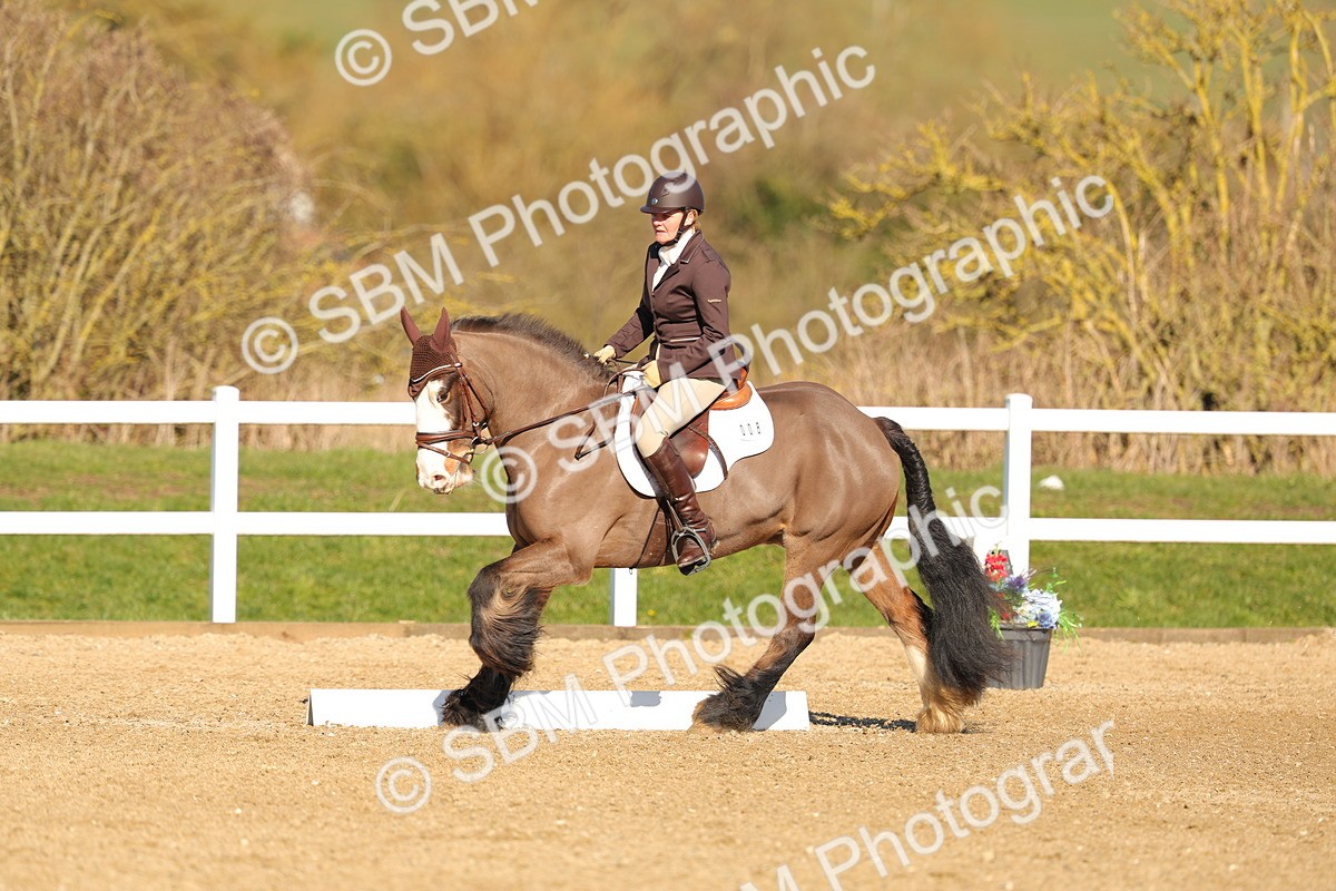 SBM_003484 - Class 4 - N1-80cm