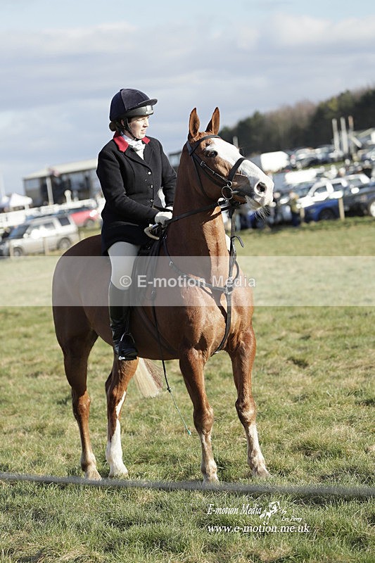 PtP 260223 1181 - South & West Wilts Point-to-Point Larkhill 26/02/23