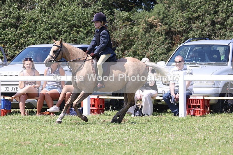 JPP_2316 - Class 20: Tiny Tots Working Hunter Pony