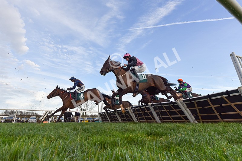 281224-Race 4-Siog Geal-9587 - Race 4