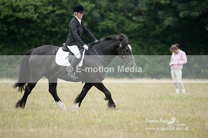 BVRC 030721 57 - Bourne Valley Riding Club Dressage 03/07/21