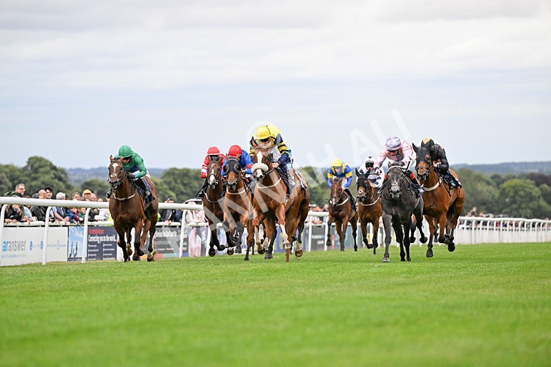 150824-Race 6-Captain Corelli-4442 - Race 6