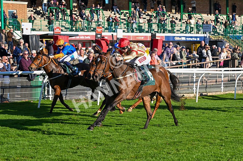 291024-Race 4-Rwenearlytheredad-6059 - Race 4