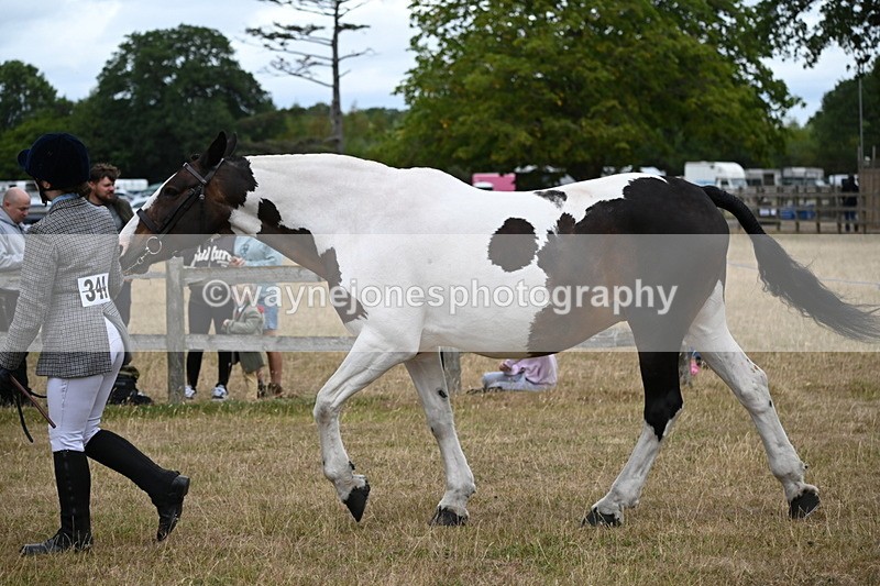 WJ6_8295 - Class 10 Coloured in Hand