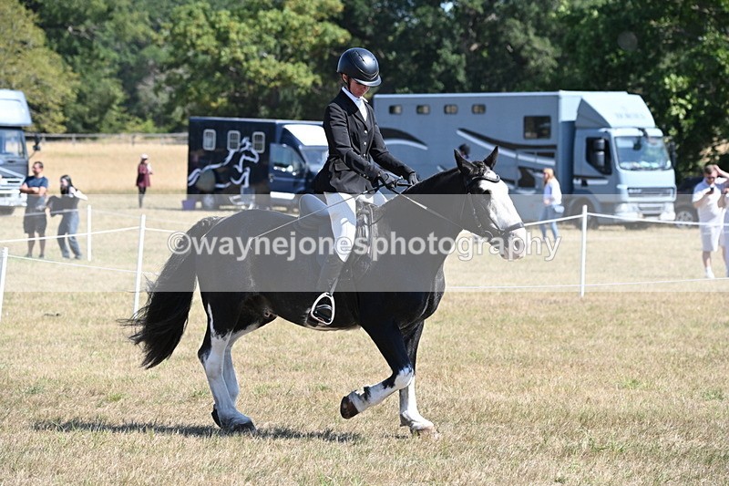 WJ6_8202 - Class 37a Best Loan Pony Ridden