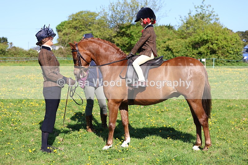 3E7A8786 - Class 2: Lead rein