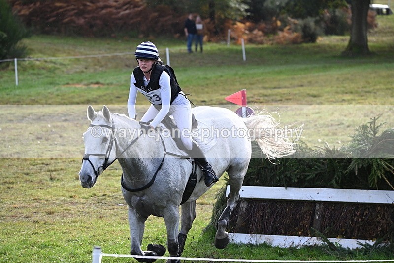 WJ6_2082 - 80cm Cam 1 Time 10:47 to 11:22