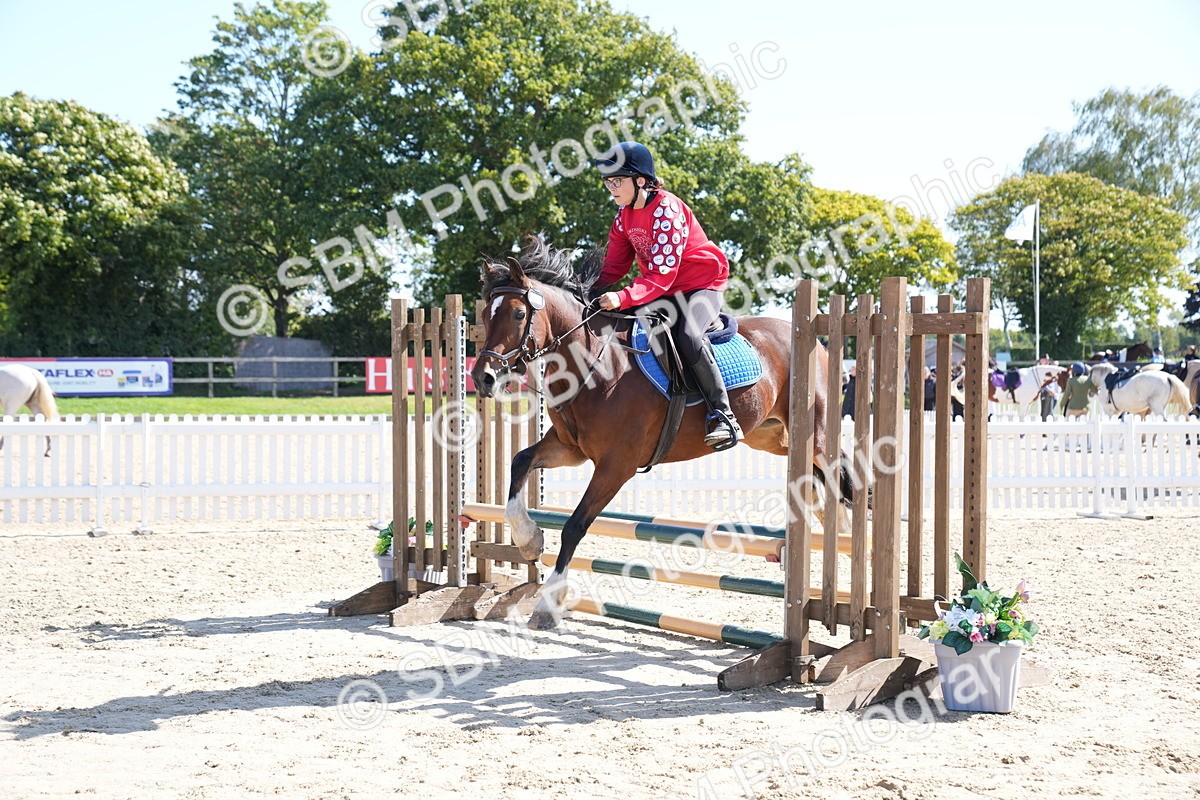 SBM_05033 - J56 - Clear Round 70cm