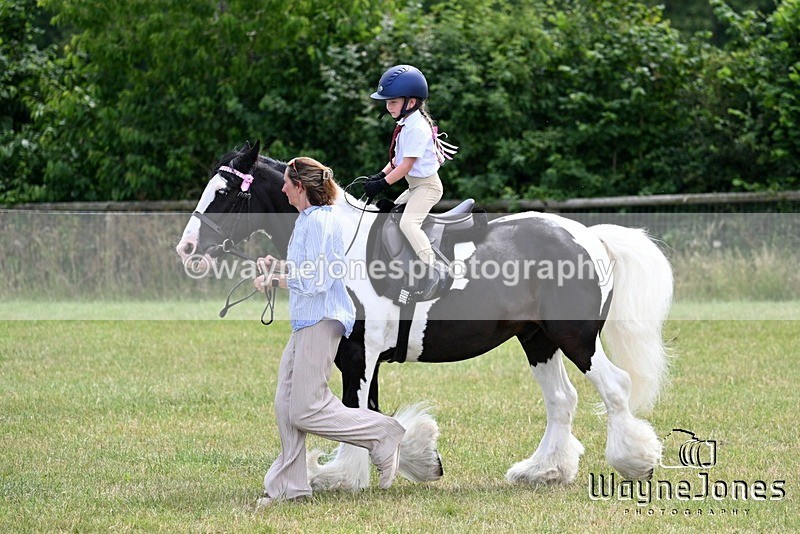 WJ7_8142 - Nancy And Churchill SORC summer show 21-06-26
