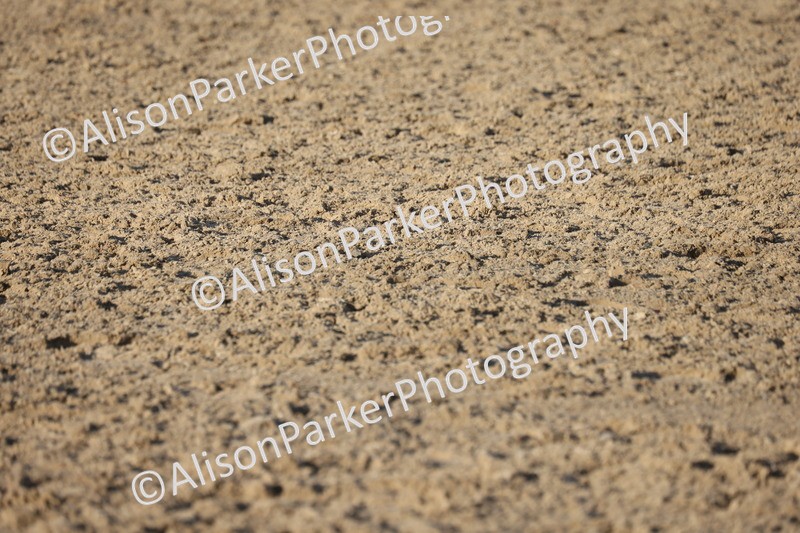 20251102-1363 - Class 8 - Medium 6