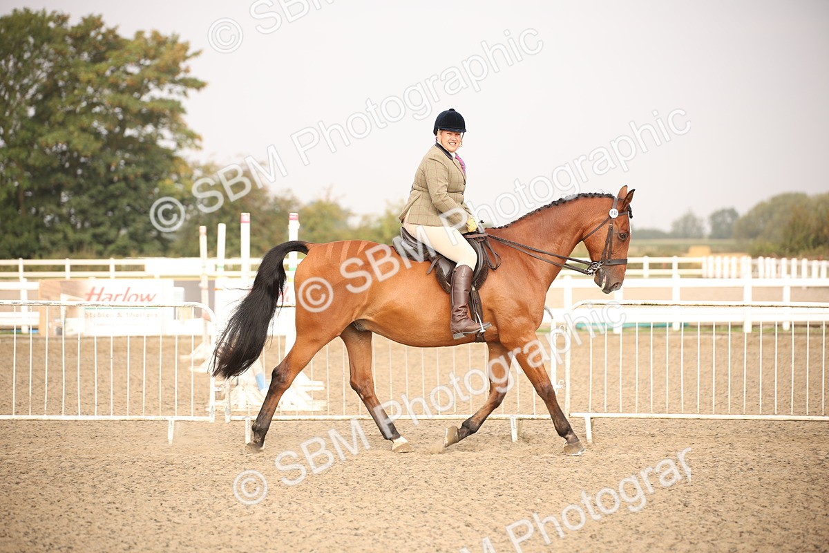 SBM_10203 - Class 402 Riding Club Horse