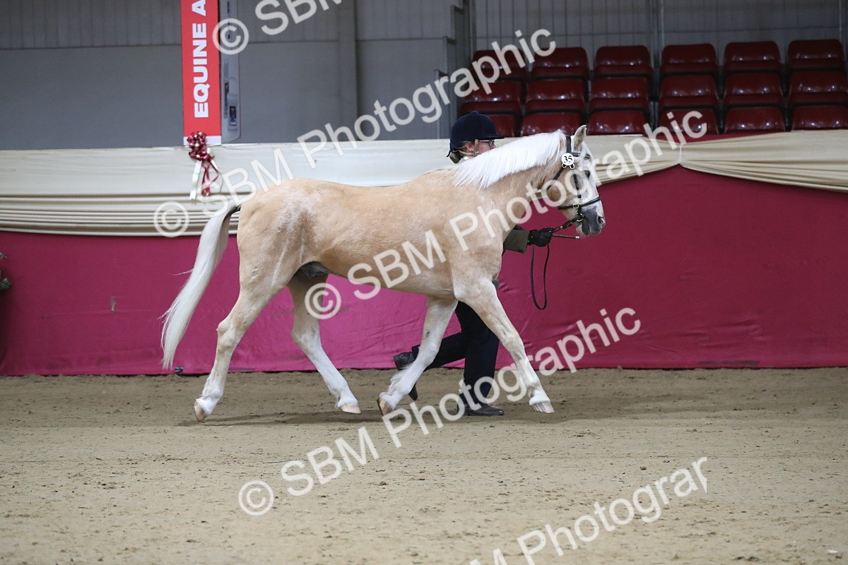 SBM_00245 - Class 1a - Area IH Diamond
