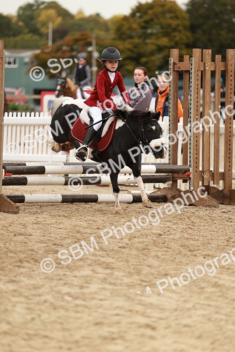 SBM_57932 - J11 - Junior Pony 50cm Championship