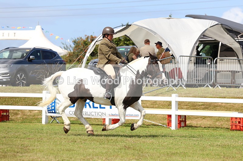 3E7A9945 - Class 5: Rising Star Lightweight/Heavyweight Cobs