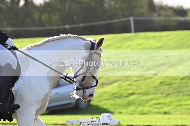 241025-154321-10326 - 465-Clare.Pascoe-MR.QUINN