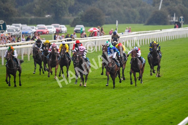 100923-Race 6-Anjo Bonita-1043 - Race 6 4.25pm Hanson Springs 60th Anniversary Handicap at York