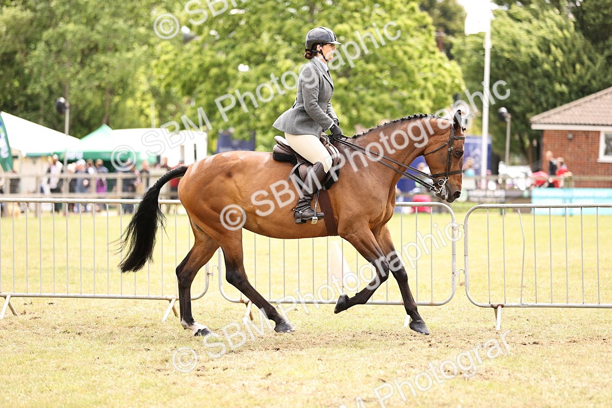 SBM_14669 - Class 88-89 - LIHS BSHA Rising Star of Ridden Hunter Type