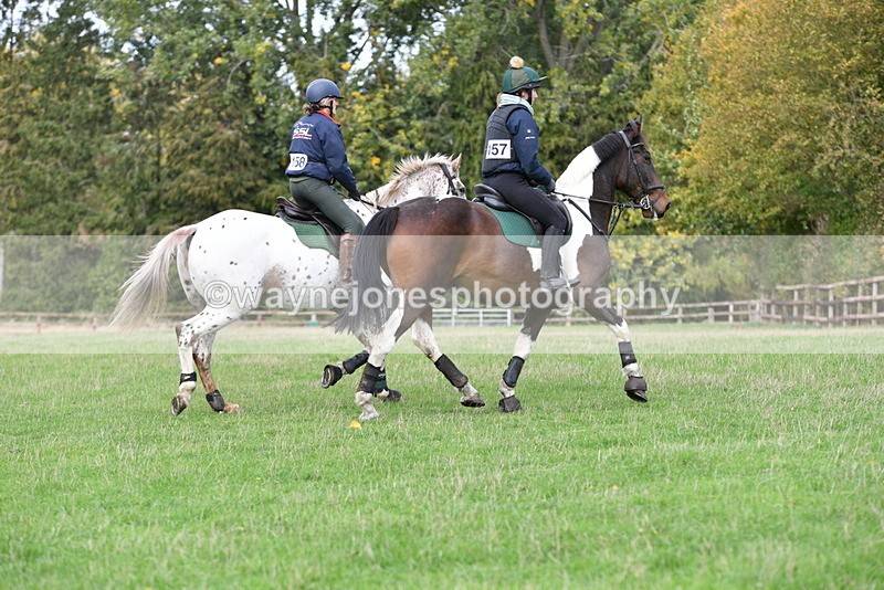 WJ5_8917 - Time 12:34 to 12:57