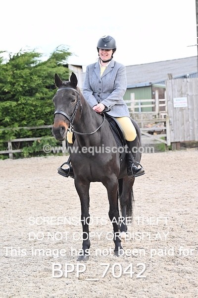 BPP_7042 - RING 1  (RIDDEN HORSES / IN HAND / VETERAN ETC)