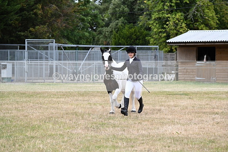 WJ6_4246 - Class 10 Coloured In-hand