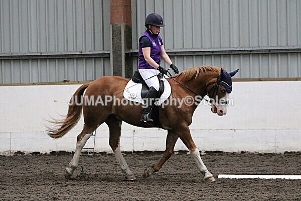 SIAL3696 - CAbin Dressage 5th july 2025