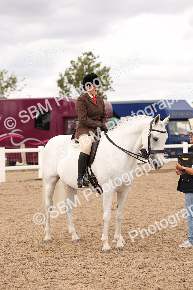 SBM_16517 - Class 212 - Ridden Hunter - Small