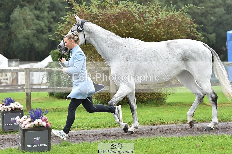 231018-123050-00343 - 042-WKD.COOLEY-Chiara.Grimaldi-TrotUp