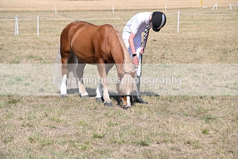 WJ6_9401 - Class 40 Cheekiest Pony/Horse