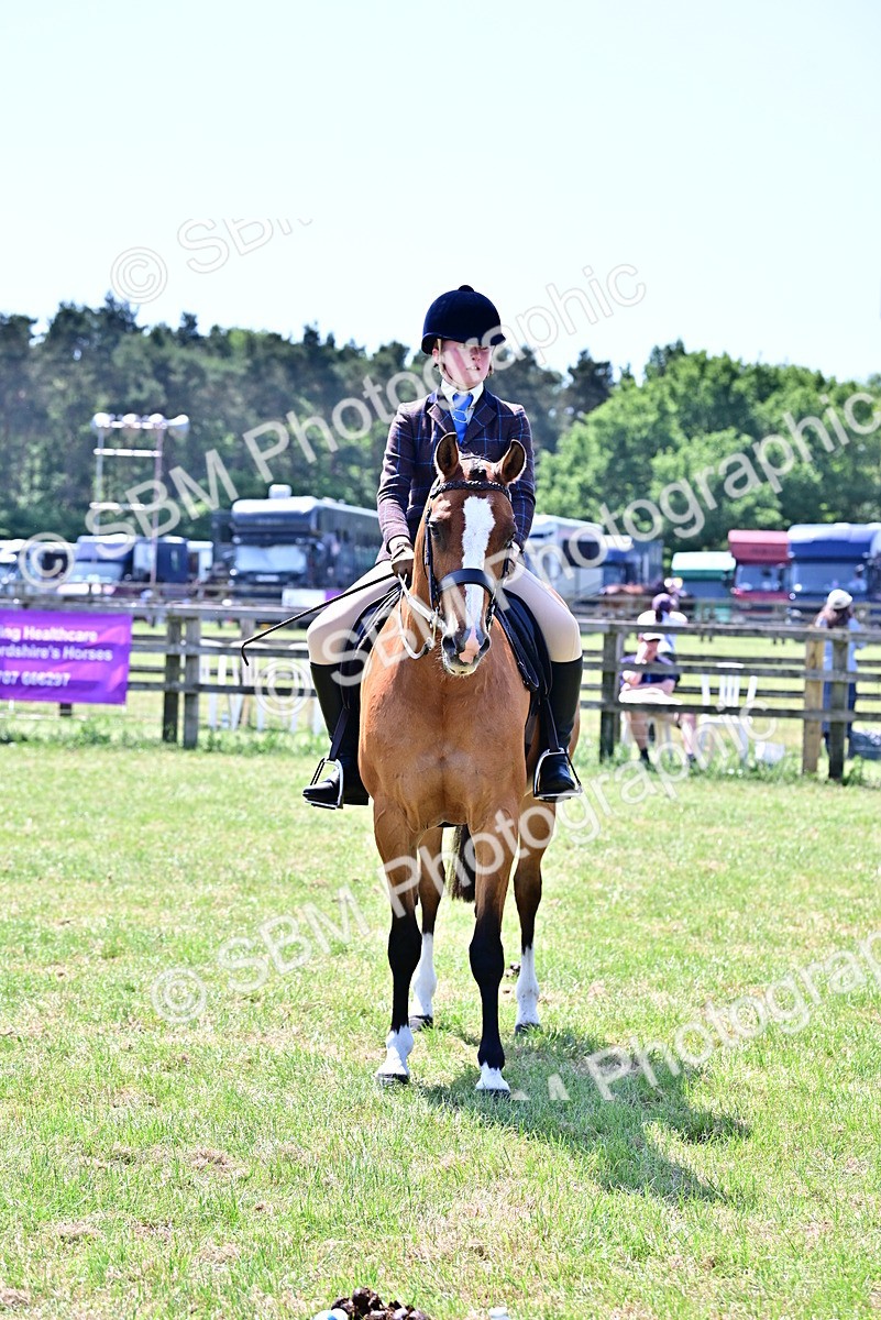 SBM_17420 - Class 95-97 - BSPS LHS Performance Ponies