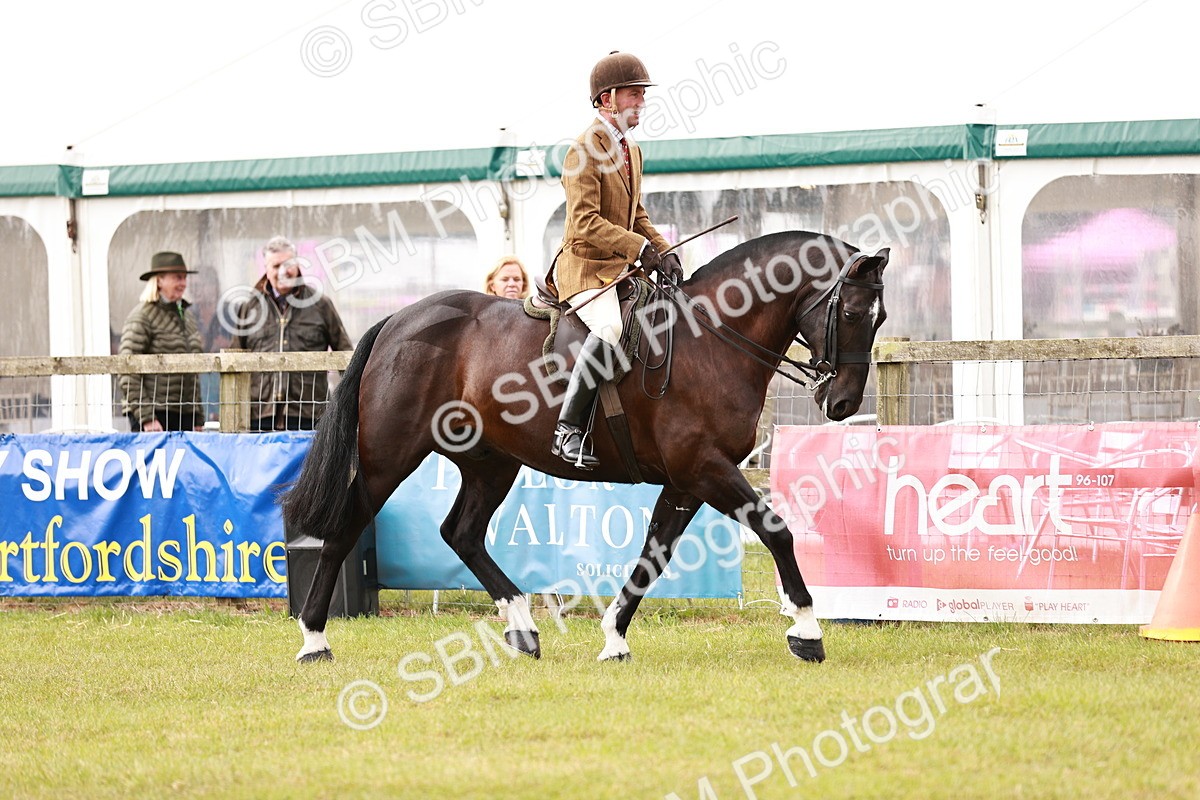 SBM_12983 - Class 85-87 - RIHS Cobs