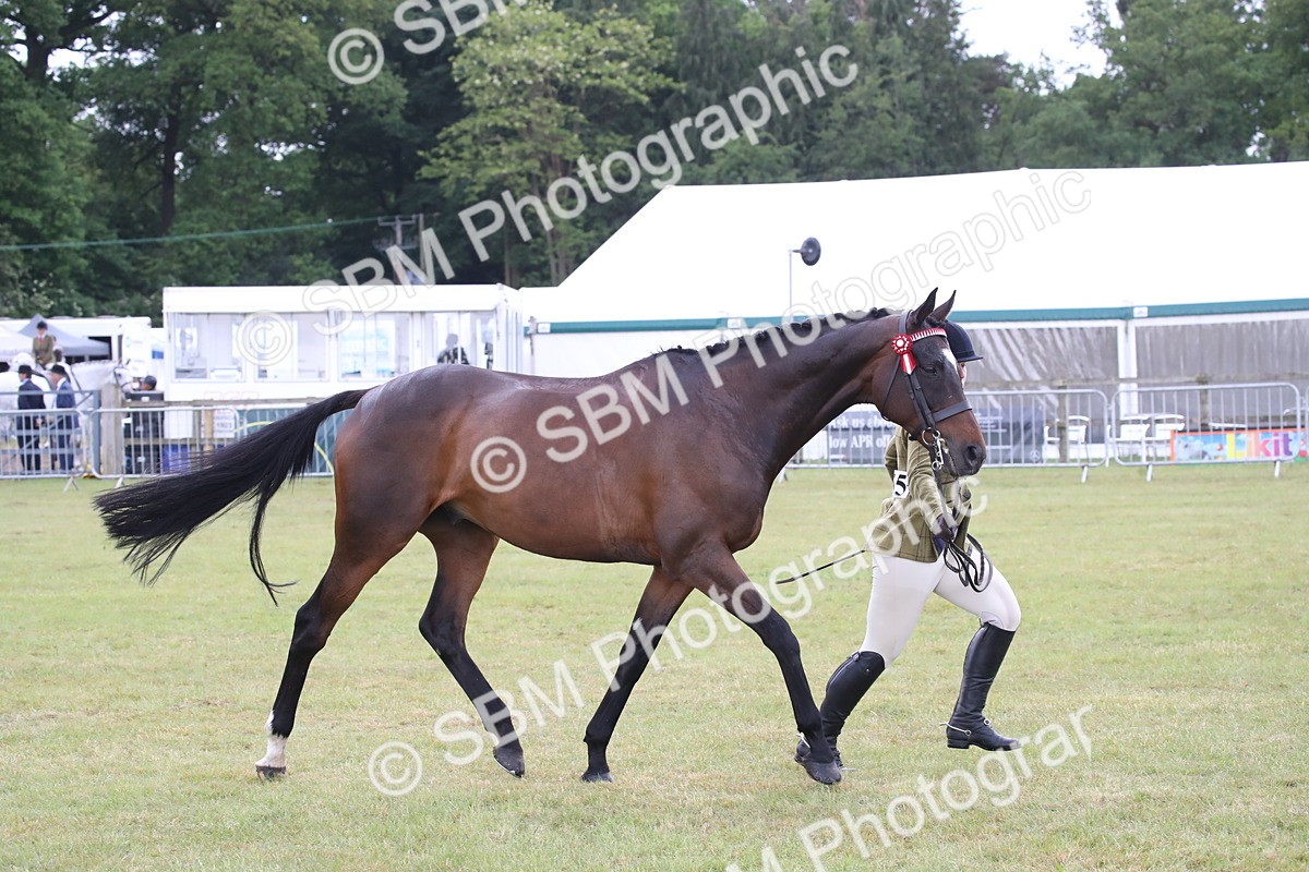 SBM_11457 - Class 94 - LIHS BSHA Racehorse to Showhorse