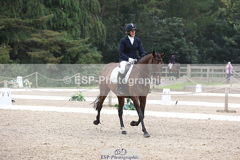 230812-122803-04020 - Cls 5 Novice Bronze 11.15 to 12.50 break