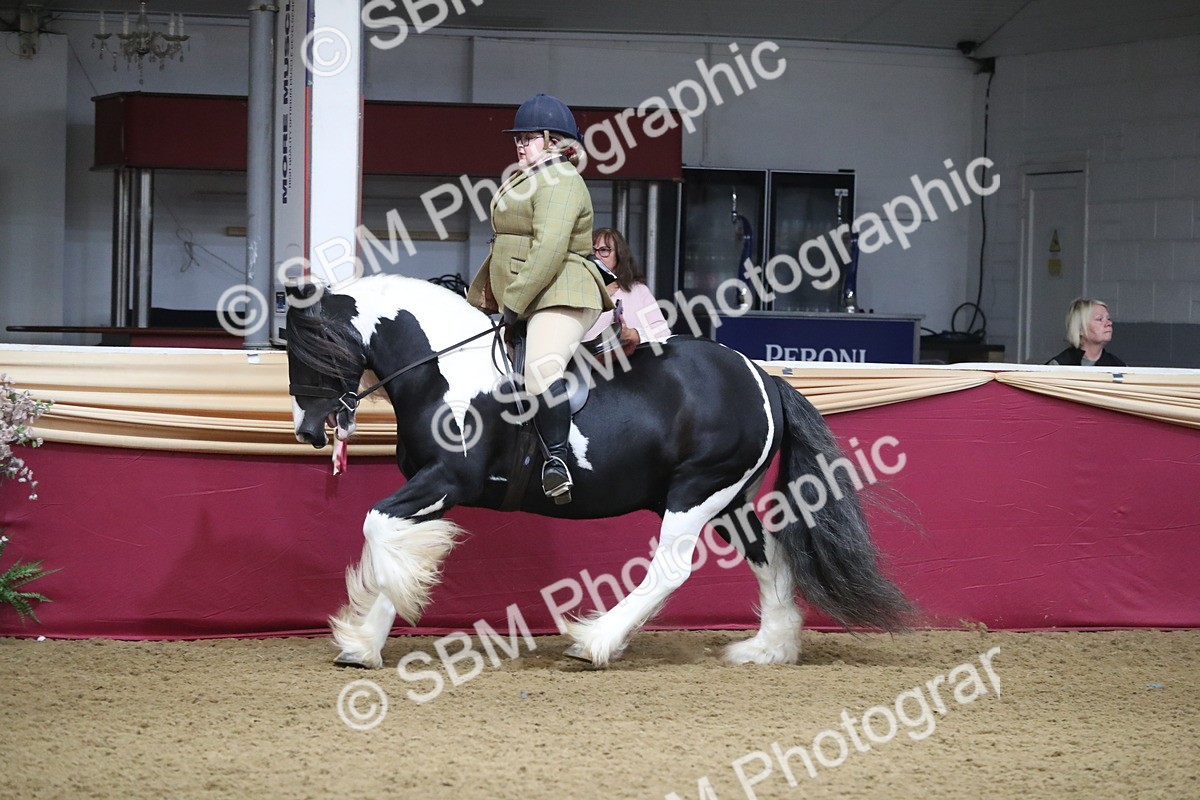 SBM_10430 - Class 102 Equitation (best rider) Adult