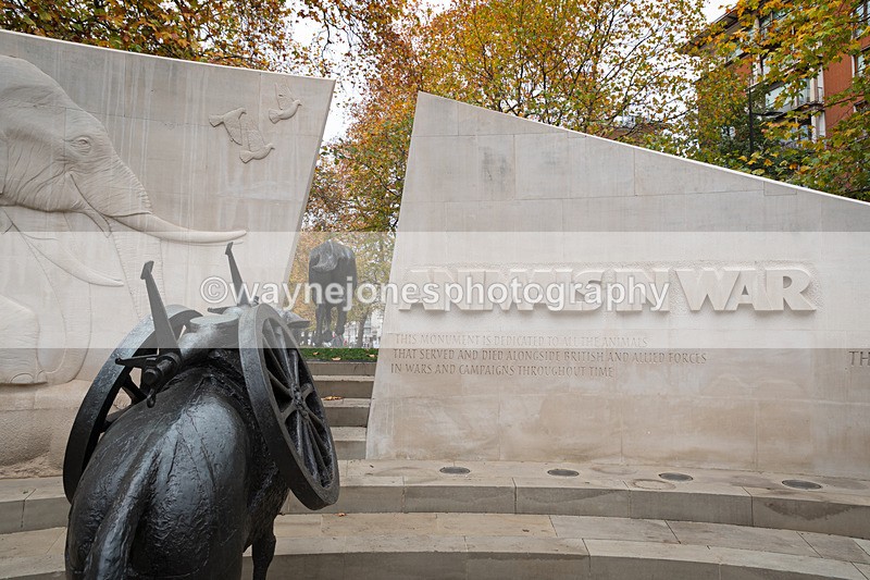 Z62_4431 - Animals In War Memorial 2025 - Park Lane, London