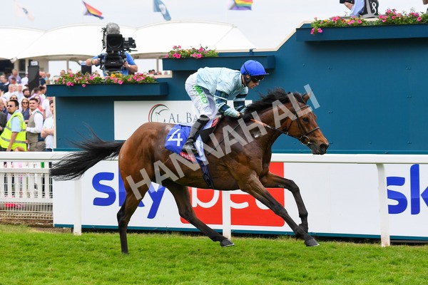 170623-Race 3-Quickthorn-0474 - Race 3 3.05pm Sky Bet Race To The Ebor Grand Cup Stakes