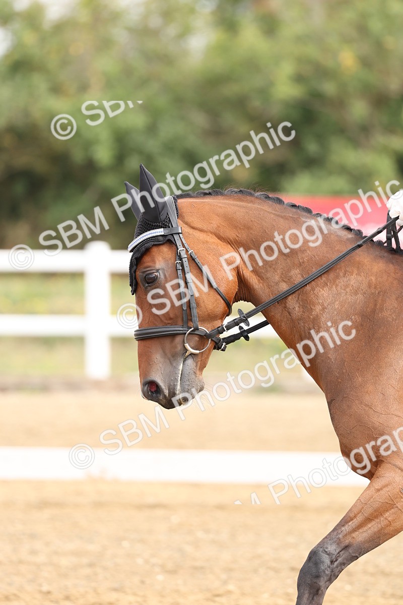 SBM_005486 - Class 6 - Novice 6 - 9.30-10.12