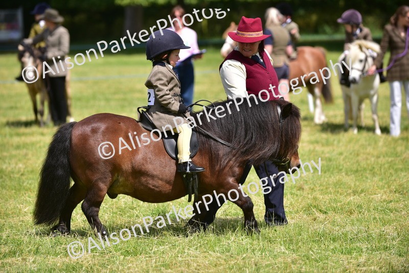 20260614-1247 - Class 11a - Lead Rein Pony (Unplaited)