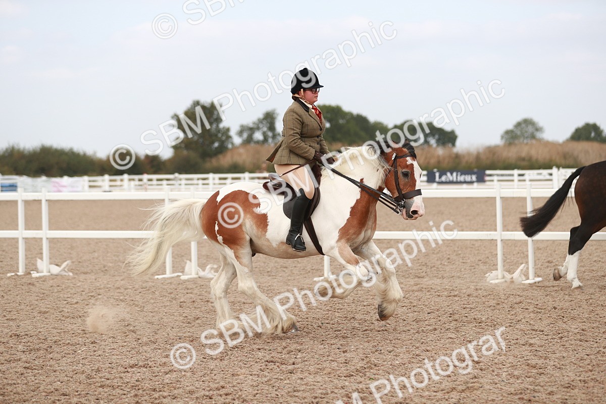 SBM_16682