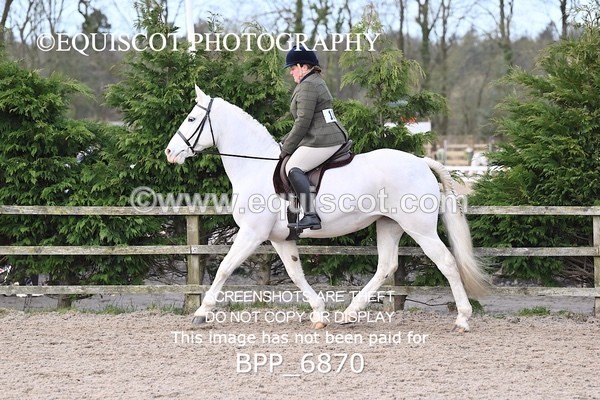 BPP_6870 - RING 1  (RIDDEN HORSES / IN HAND / VETERAN ETC)