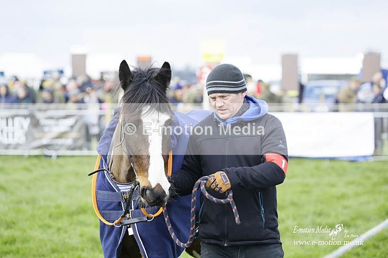 PtP 060322 50 - Blackmore & Sparkford Vale Hunt PtP 06/03/22
