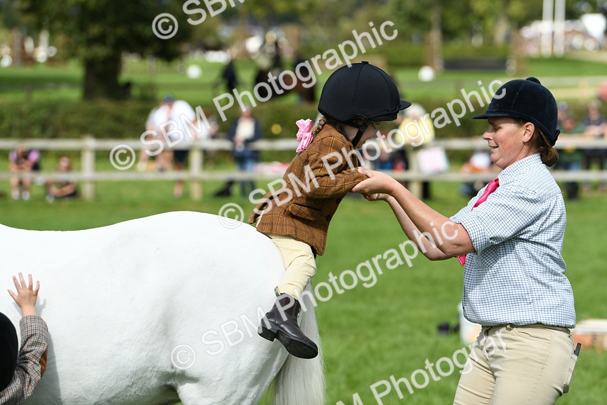 SBM_46802 - S12 - Family Horse & Pony