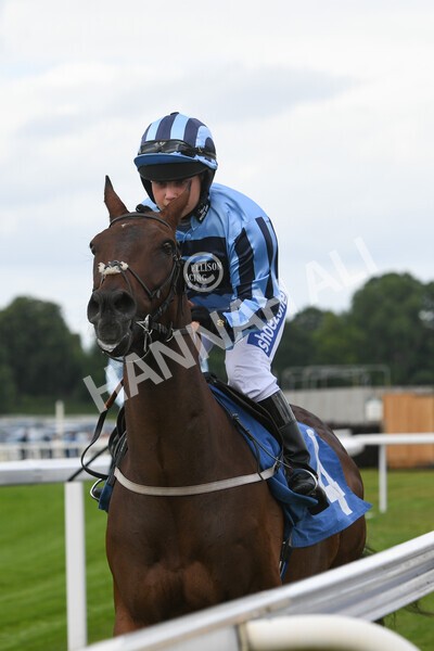 yr11062022r2-17 - Race 2 2.00pm Queen Mother's Cup