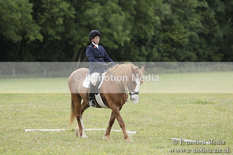 BVR160717-1237 - Class 2 Dressage 16/07/17