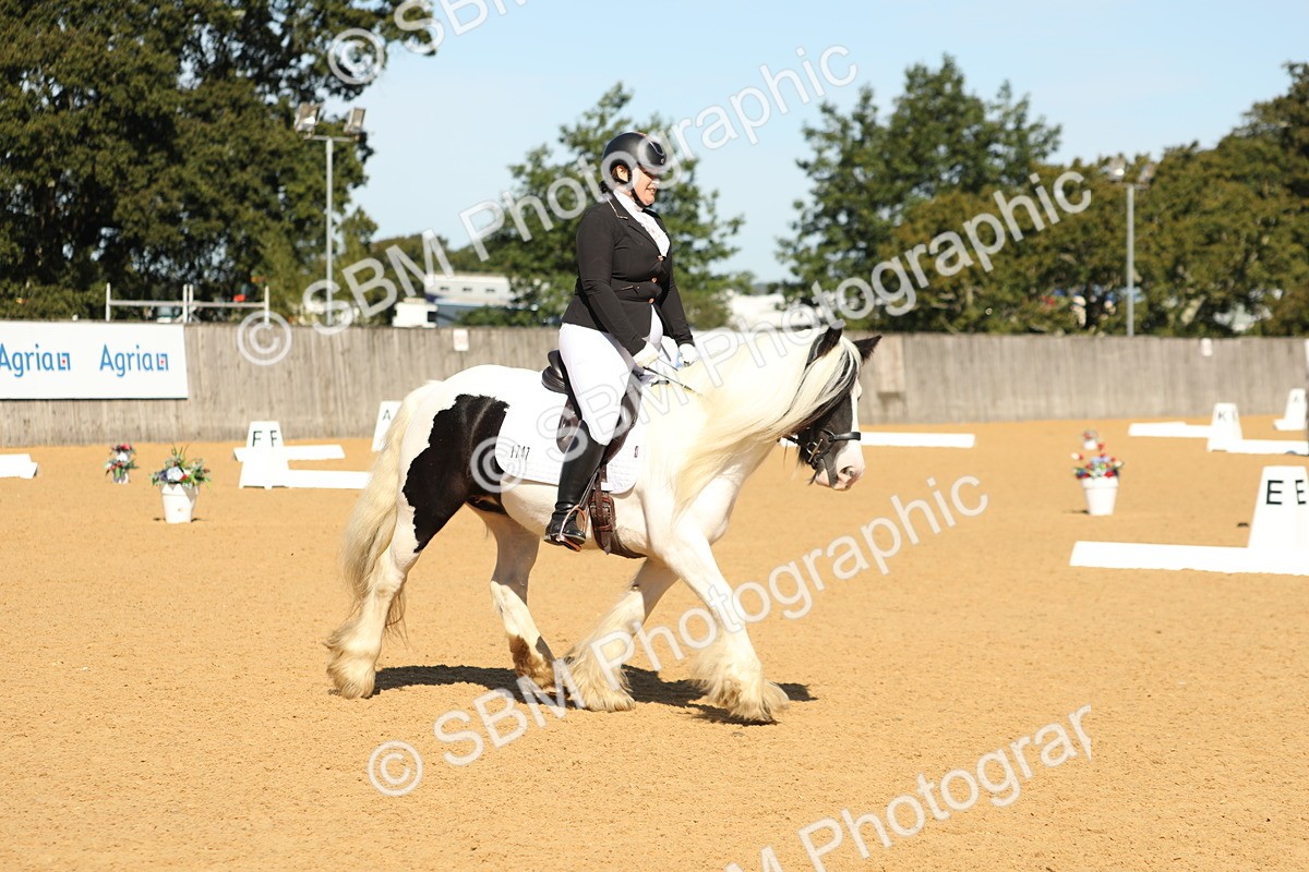 SBM_19614 - D10 - Small Tour Championship - Prelim 2