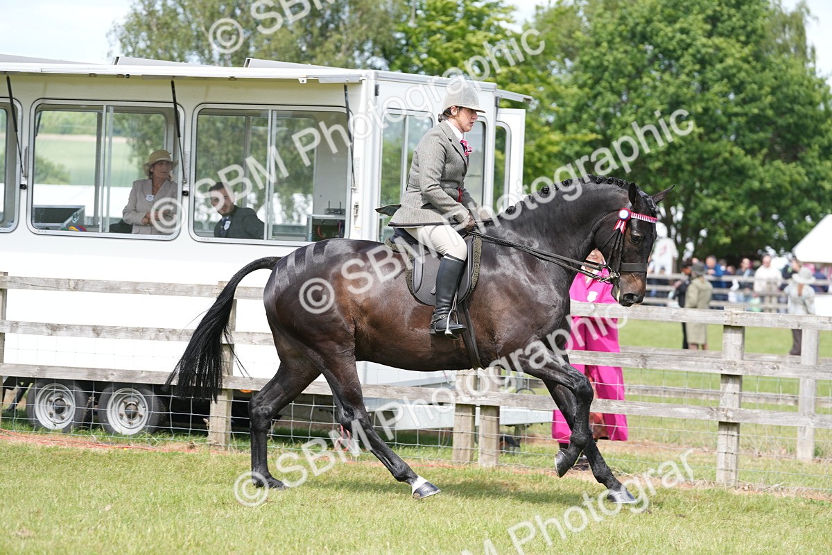 SBM_16300 - Class 105-106 - RIHS Riding Horses