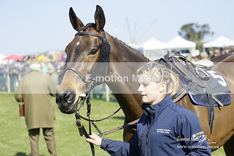 PtP 190322 264 - Wilton Hunt PtP Milborne St Andrew 19/03/22